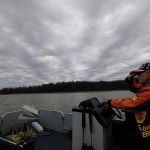 Meet your Posher, Joyce